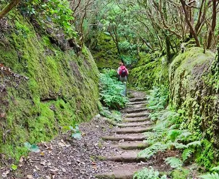 White House - Clasto Apartamento *