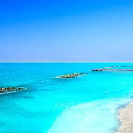 White House - Clasto *