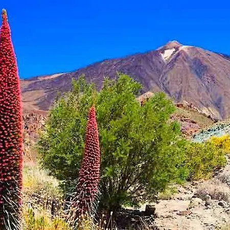 شقة White House - Clasto سان ميغيل ذي أبونا