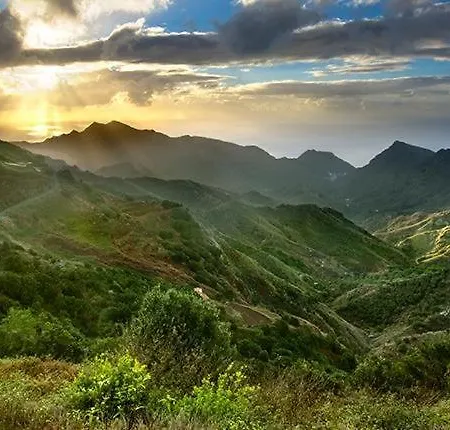 White House - Clasto *