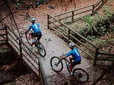 White House - Clasto