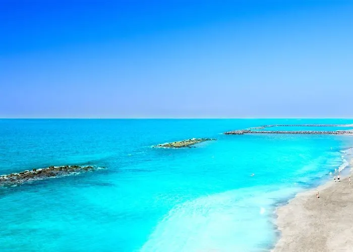 White House - Clasto *