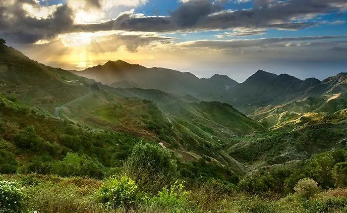 White House - Clasto *