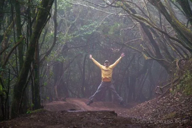 White House - Clasto 公寓