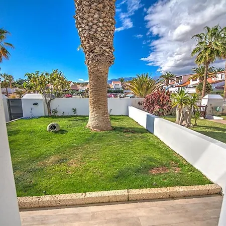 White House - Clasto *