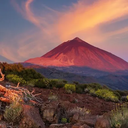 White House - Clasto Apartment