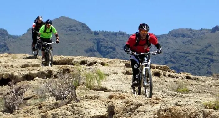 White House - Clasto Сан Мигель