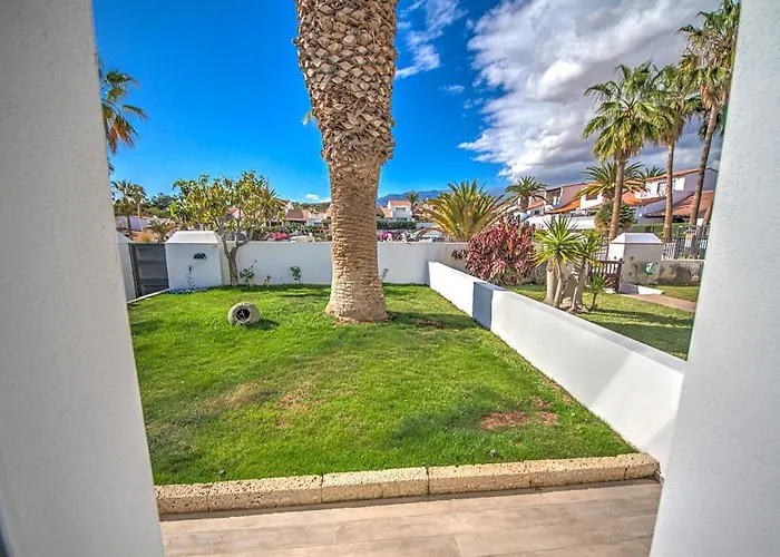 White House - Clasto *