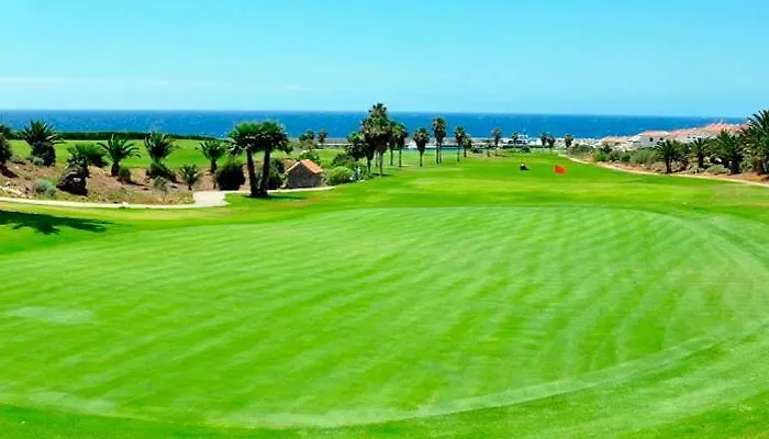 White House - Clasto