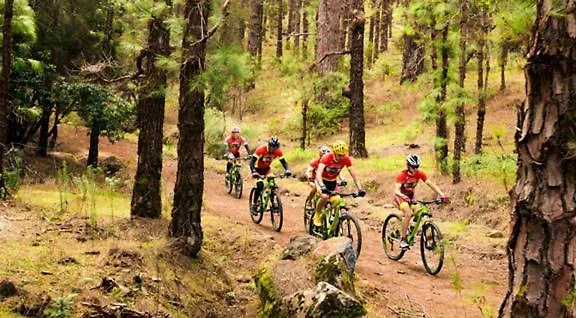 White House - Clasto Сан Мигель