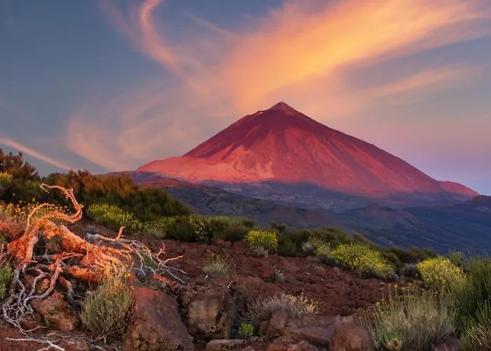 White House - Clasto דירה