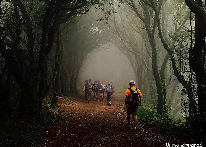 Apartmán White House - Clasto